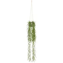 Creativ green Kunstranke Tillandsia aeranthos im Hängetopf Sukkulente, Creativ green, Höhe 90 cm, im Hängetopf aus Kunststoff grün