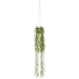 Creativ green Kunstranke Tillandsia aeranthos im Hängetopf Sukkulente, Creativ green, Höhe 90 cm, im Hängetopf aus Kunststoff grün