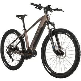 ADORE GX-750 2023 29 Zoll RH 46 cm grau