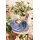 SELTMANN WEIDEN Liberty Pure Colors Kaffeeservice 18-tlg. Grape Purple