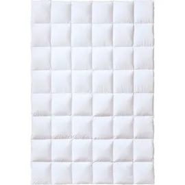 sanders-kauffmann gmbh Kauffmann Sleepwell Comfort Daunendecke 155x220 cm -
