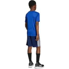 adidas Train Essentials 3-Streifen Set Team Royal Blue/White 176