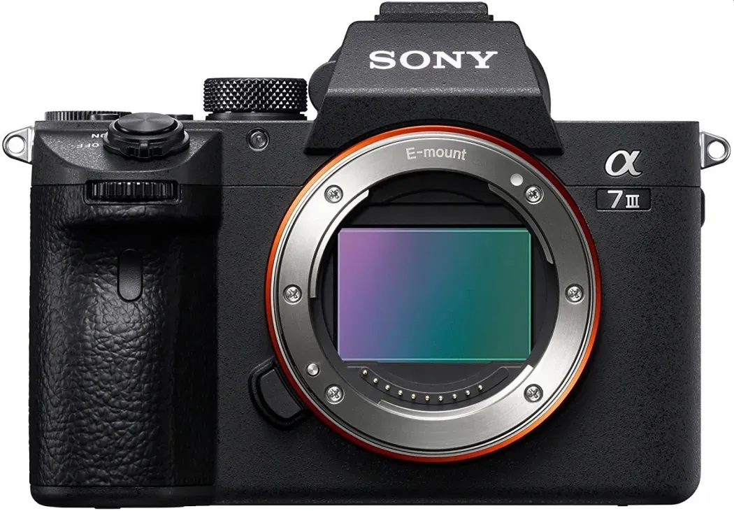 Sony Alpha ILCE-7 III + DJI RS3