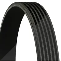 Continental Ctam Keilrippenriemen 6PK2523