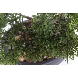Botanic-Haus Emerald Kunstpflanze Bonsai Zeder Grün 32 cm
