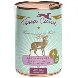 Terra Canis Getreidefrei Wild mit Kartoffeln, Apfel & Preiselbeeren 12 x 400 g