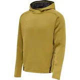 hummel Cima XK Hoodie Herren antique gold S