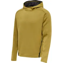 hummel Cima XK Hoodie Herren antique gold S