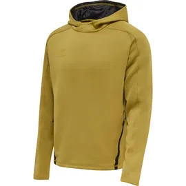 hummel Cima XK Hoodie Herren antique gold S