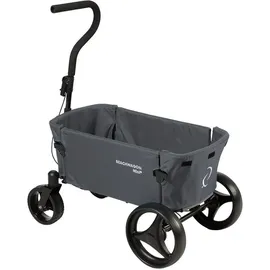 Beach Wagon Company Bollerwagen Mini bunt