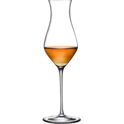 Islands Whiskygläser 170 ml 2 St.