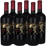 Primitivo di Manduria DOC Riserva "Luce del Sole" Rotwein Apulien trocken (6 x 0.75l)