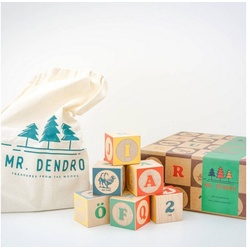 Mr. Dendro Spielbauklötze Lern Holzblöcke mit Buchstaben, Zahlen, Tieren & Rechenzeichen, (28 St)