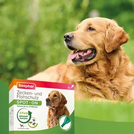 beaphar Zecken- und Flohschutz Spot-On für Hunde über 15 kg 3 x 2 ml