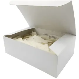 Holthaus Ypsipor Injektionspflaster 1,5 x 4 cm 250 St.