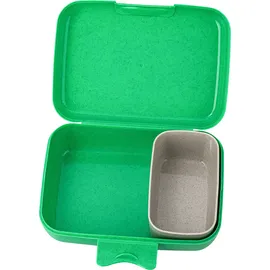 Koziol Candy L Lunchbox organic spring green