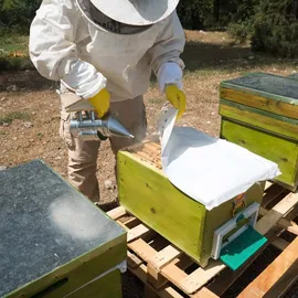 Wiltec Rauchbläser Bee Smoker Rauchdose Silber