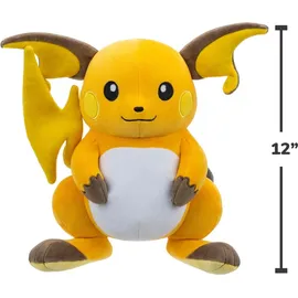 Pokémon Raichu