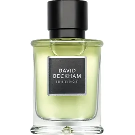 David Beckham Instinct Eau de Toilette 30 ml