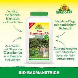 NEUDORFF Bio-Baumanstrich 2 Liter