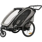 hauck Bike N Walk Duo Fahrradanhänger grau