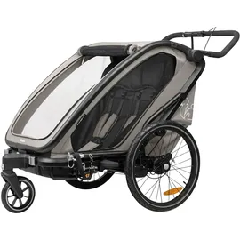 hauck Bike N Walk Duo Fahrradanhänger grau