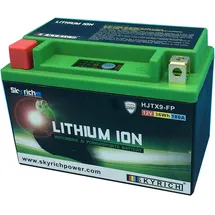 Skyrich LiFePO4 Batterie wartungsfrei