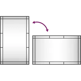 vidaXL Wandspiegel Schwarz 60x100 cm Rechteckig Eisen