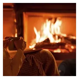 Relaxdays Ascheeimer Stahl & Holz 12 l 0,34 x 0,32 m Schwarz