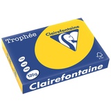 Clairefontaine Trophee Papier 120 g/m² 250 Blatt (1206C)