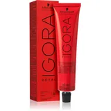 Schwarzkopf Professional Igora Royal Pearlescene