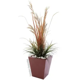 Europalms LEICHTSIN BASIC-50, rot, glänzend