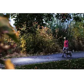 Ledlenser HF4R Core rot