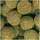 JBL Pronovo Pleco Wafer XL 1.000 ml