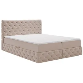 GRAINGOLD Canolo 180 x 200 cm Beige