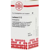 DHU-ARZNEIMITTEL LACHESIS D12
