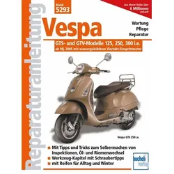 Vespa GTS- und GTV-Modelle 125, 250, 300 i.e. - ab Modelljahr 2005