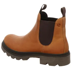 ECCO Herren Grainer M Chelsea Fashion Boot, Amber, 40 EU