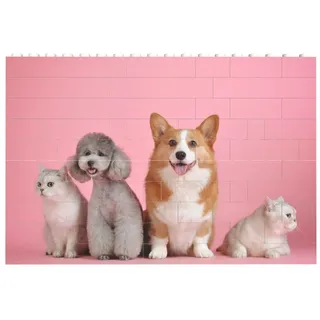 Personalisierte Bausteine mit Foto Puzzle, mit Bild Herz Quadrat Form Bausteine Sich Selbst Gestalten Benutzerdefiniertes Bild, ABS Kunststoff Individuelles Puzzle, Geschenk für Familie, Paar, Freunde