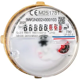Wasserzähler Messkapsel Techem Vario-S M62x2 MID Q3 2,5 Qn 1,5 inklusive Eichung