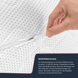 Fdm Taschenfederkernmatratze, Weiß, Textil, H2 + H3, Füllung: Taschenfederkern summer 7 Zonen H4 29 cm Kokos Visco Latex Polyurethanschaum silver