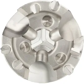 PROJAHN Fräskrone SDS-max 80x310 mm