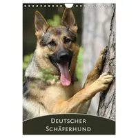Calvendo Deutscher Schäferhund (Wandkalender 2026 DIN A4 hoch), CALVENDO