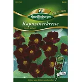 Quedlinburger Kapuzinerkresse ''Black Velvet''