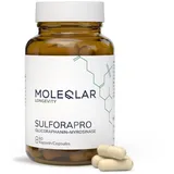 MoleQlar Sulforaphan Kapseln 60 St.