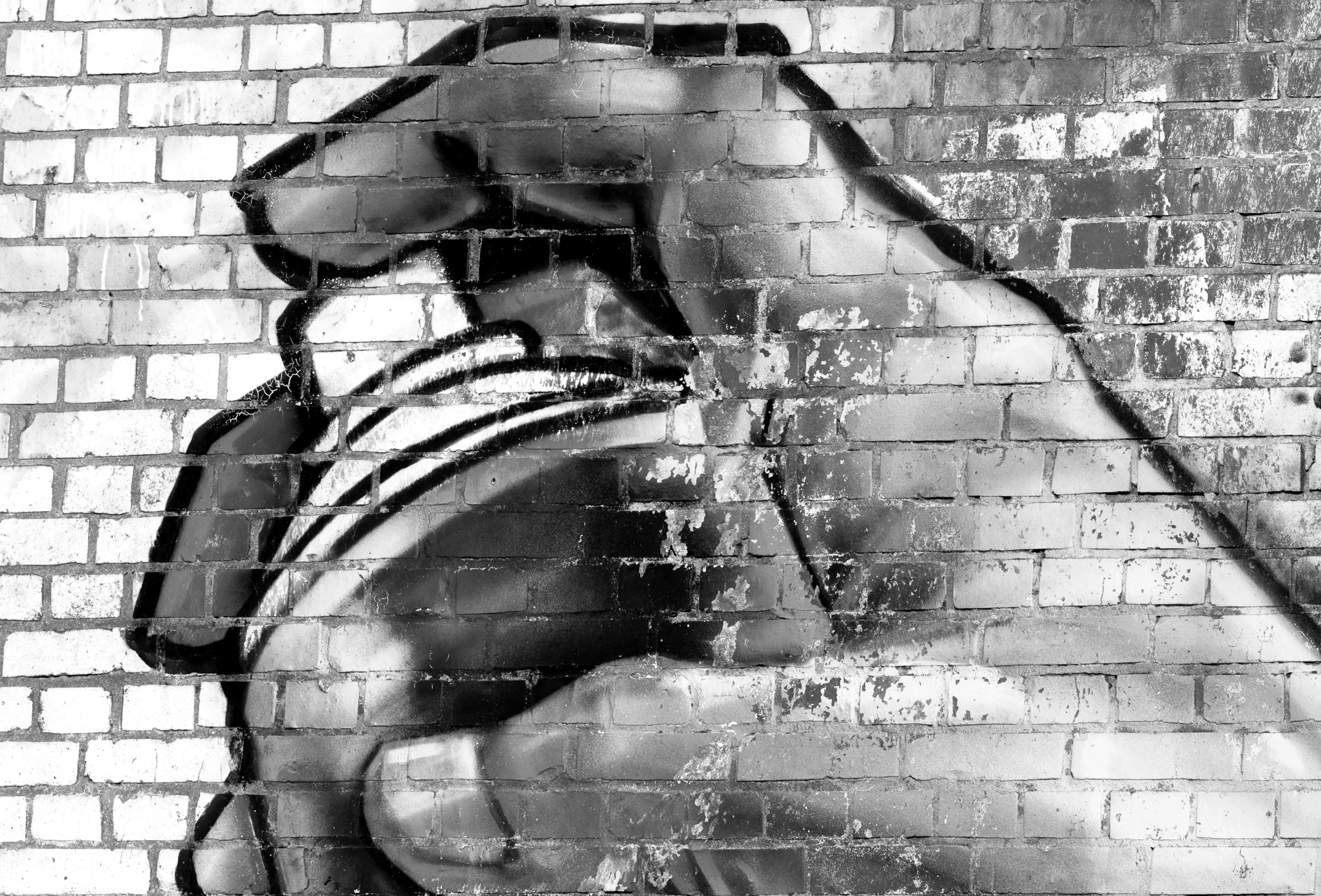 PAPERMOON Fototapete "Graffiti Schwarz Weiß" Tapeten Gr. B/L: 4,00 m x 2,60 m, Bahnen: 8 St., bunt Fototapeten