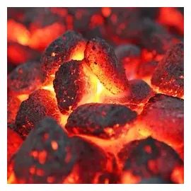 DEUBA Grillbriketts 9 x 3 kg 991963