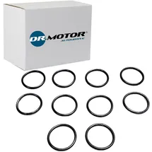 DR.MOTOR AUTOMOTIVE Dichtring, Ölablassschraube