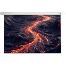 Celexon Leinwand Motor Expert 250 x 156 cm