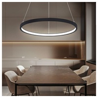 ETC Shop Pendelleuchte Ring Hängeleuchte rund LED Lampen Wohnzimmer hängend Modern, aus Metall in schwarz-matt opal, 1x LED 19W 800Lm warmweiß, DxH 38,5x120 cm